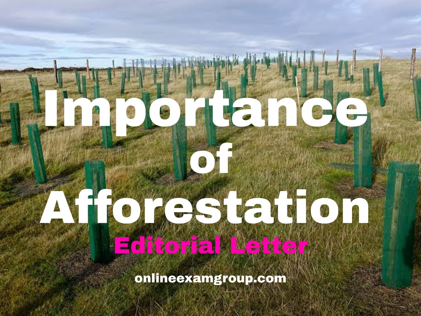 short paragraph on afforestation
