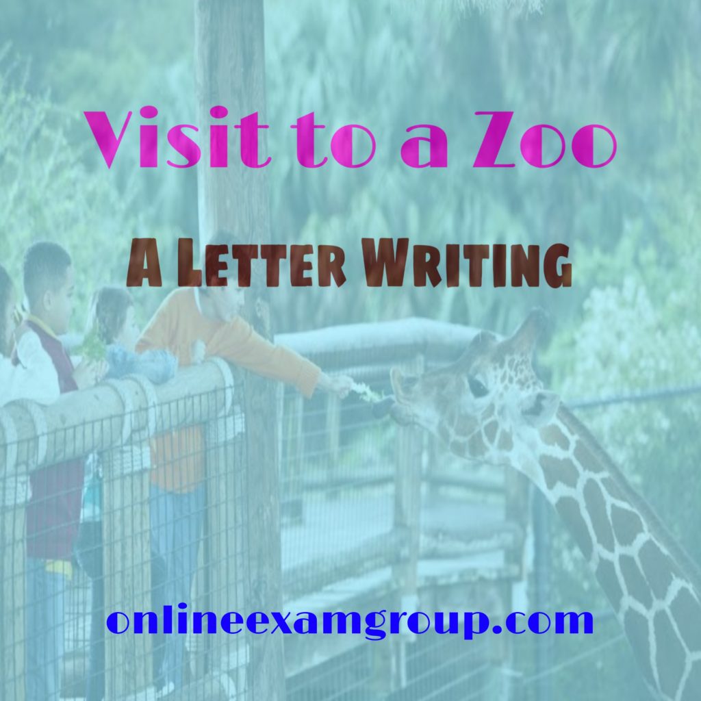 creative writing visit to the zoo