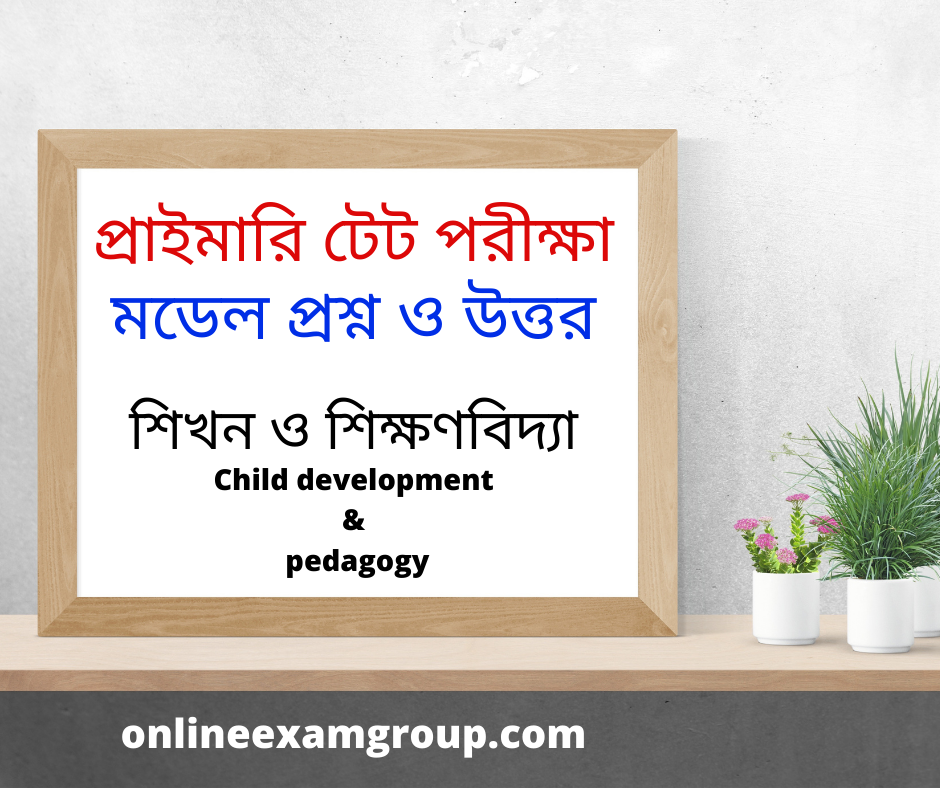 WB Primary TET Model Questions