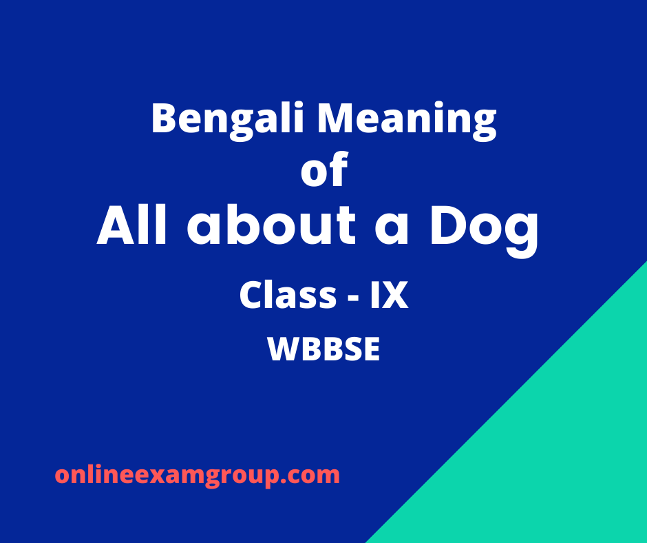 All about a Dog Bengali Meaning