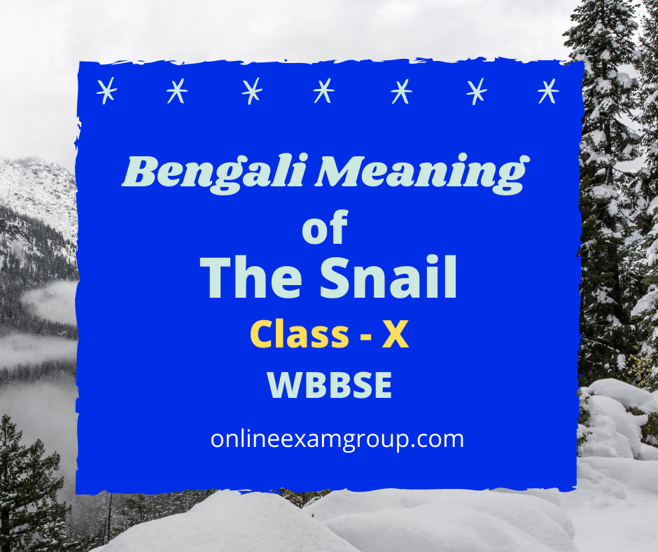 The Snail Bengali Meaning